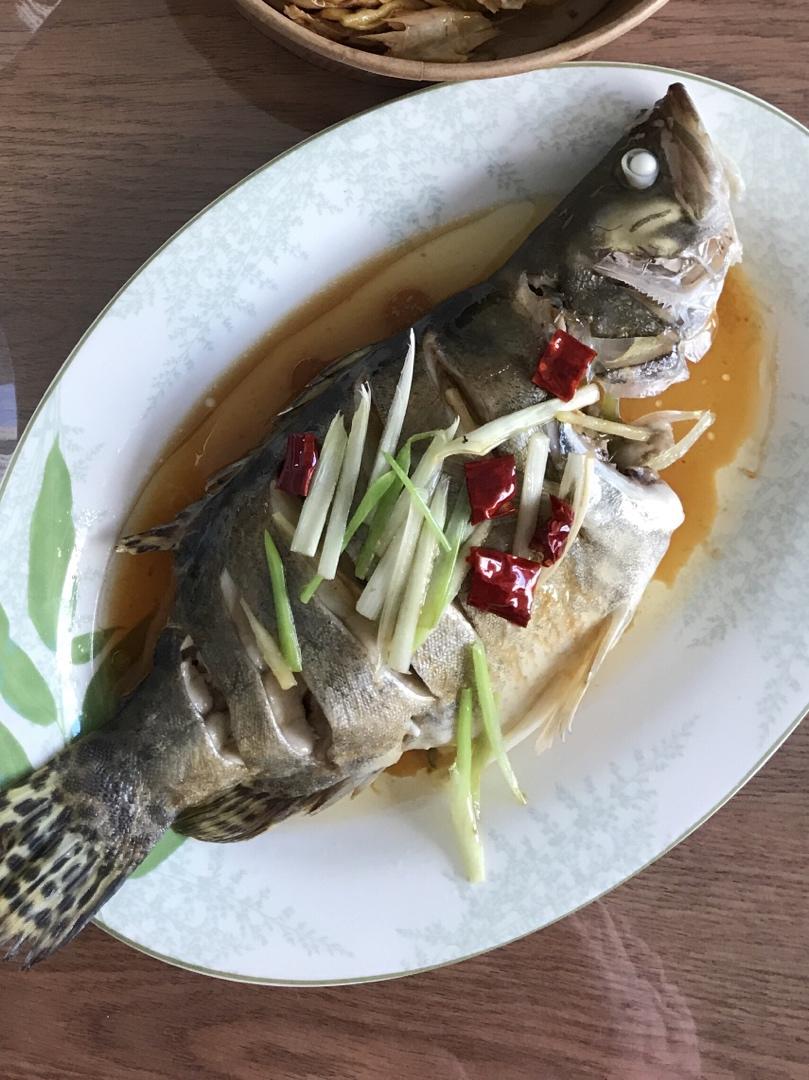 清蒸桂鱼