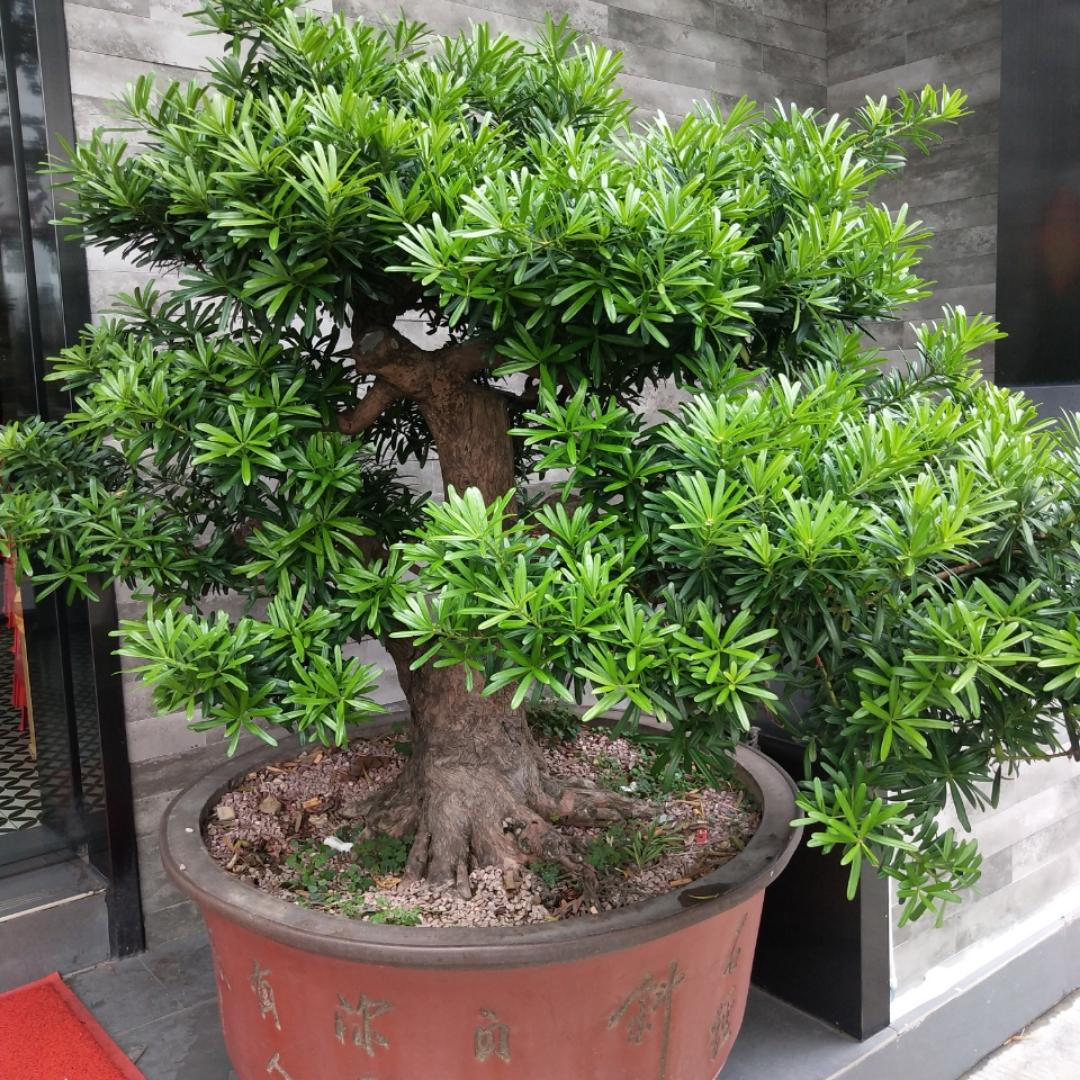 手机用户8989_n7ly