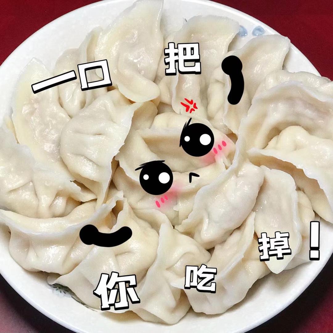 可解乡愁的酸菜馅饺子的做法