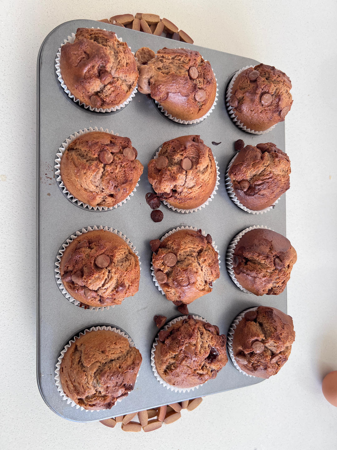 【巧克力蘑菇头麦芬】星巴克同款