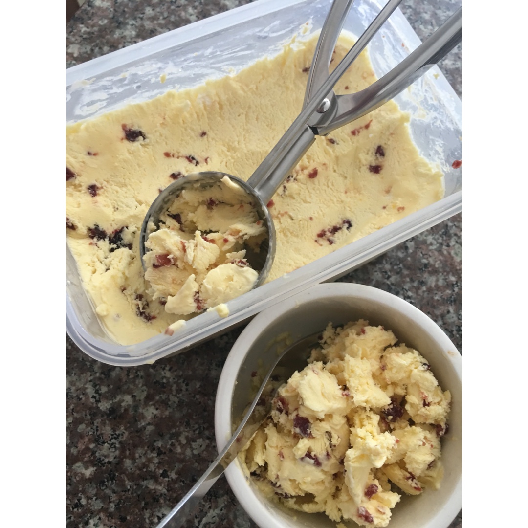 朗姆黑加仑冰淇淋 Rum Raisin Ice cream