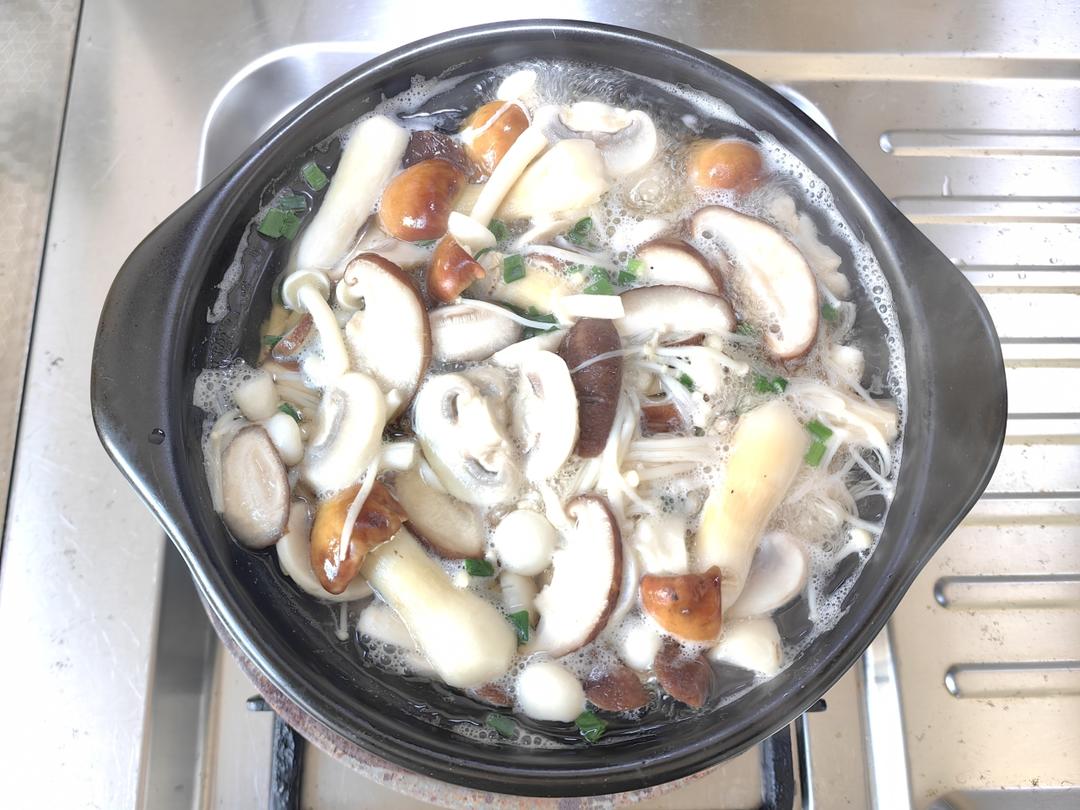 群英荟萃 蘑菇开会