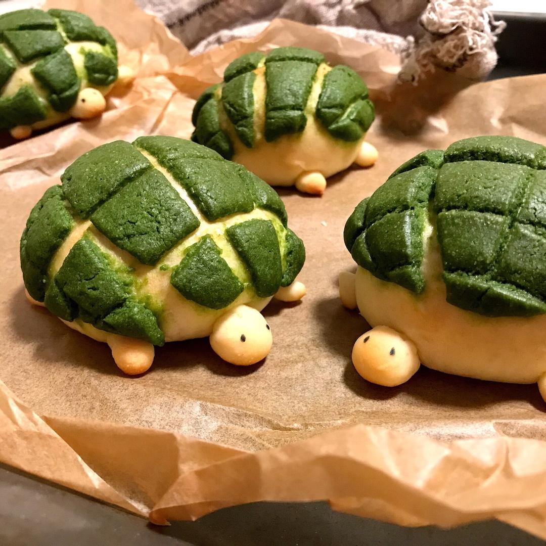 乌龟菠萝包