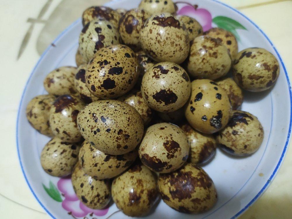 卤五香鹌鹑蛋（超简单版）
