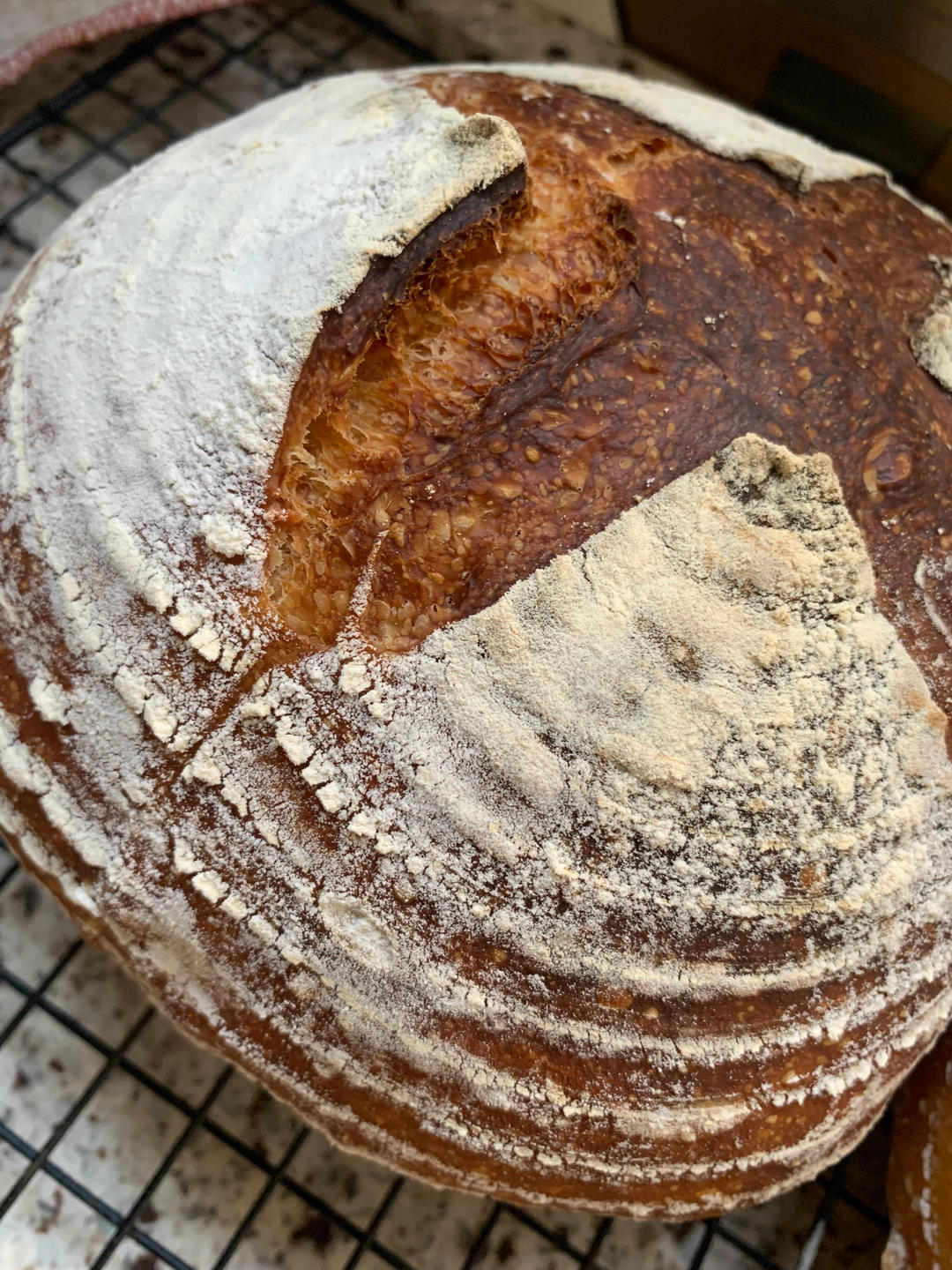 无糖油免揉面！还原法式经典-洛斯提克面包