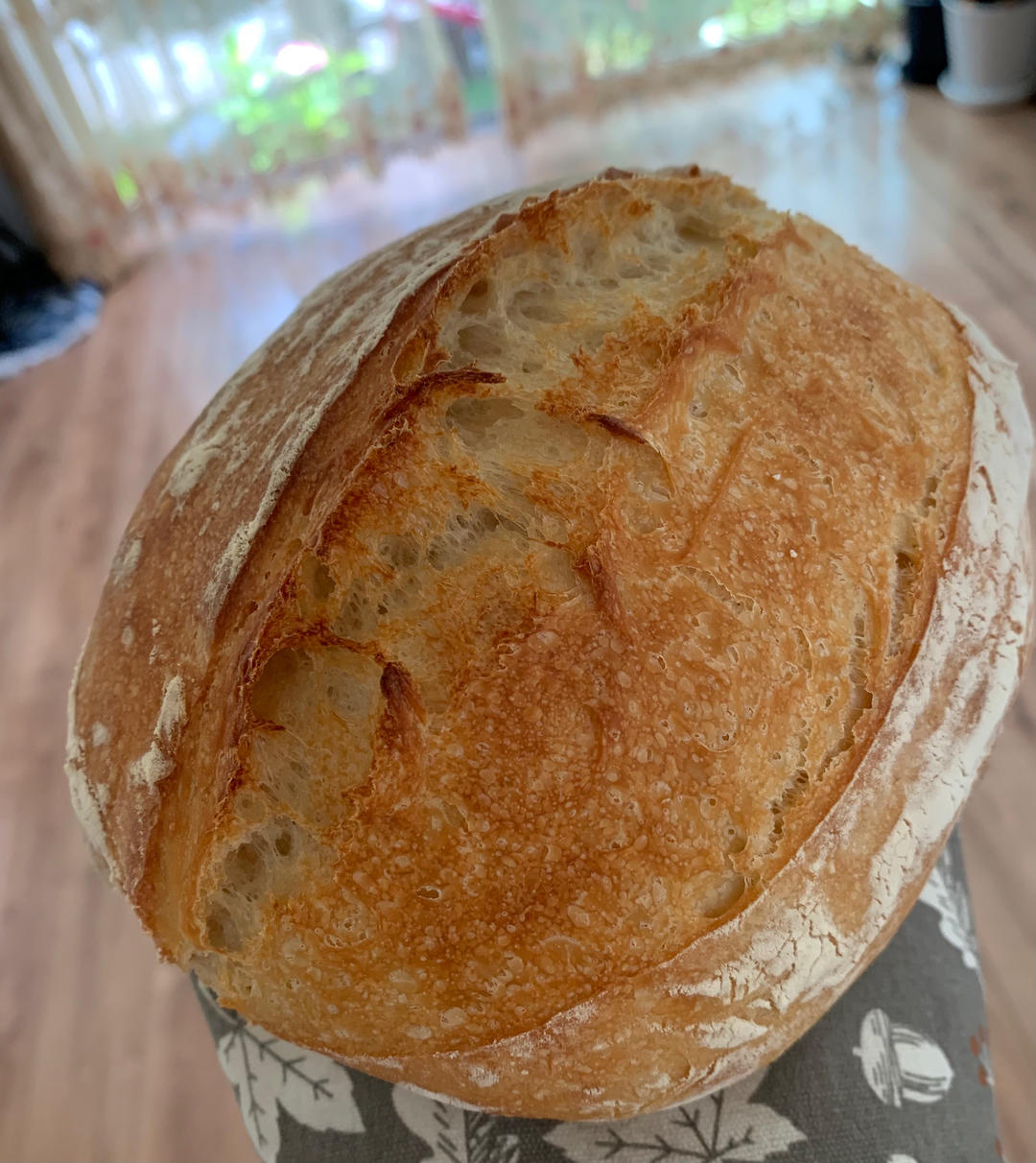 终极免揉鲁邦种懒人欧包（上班族和新手必看）