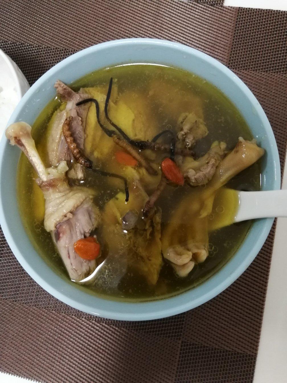 虫草老鸭汤