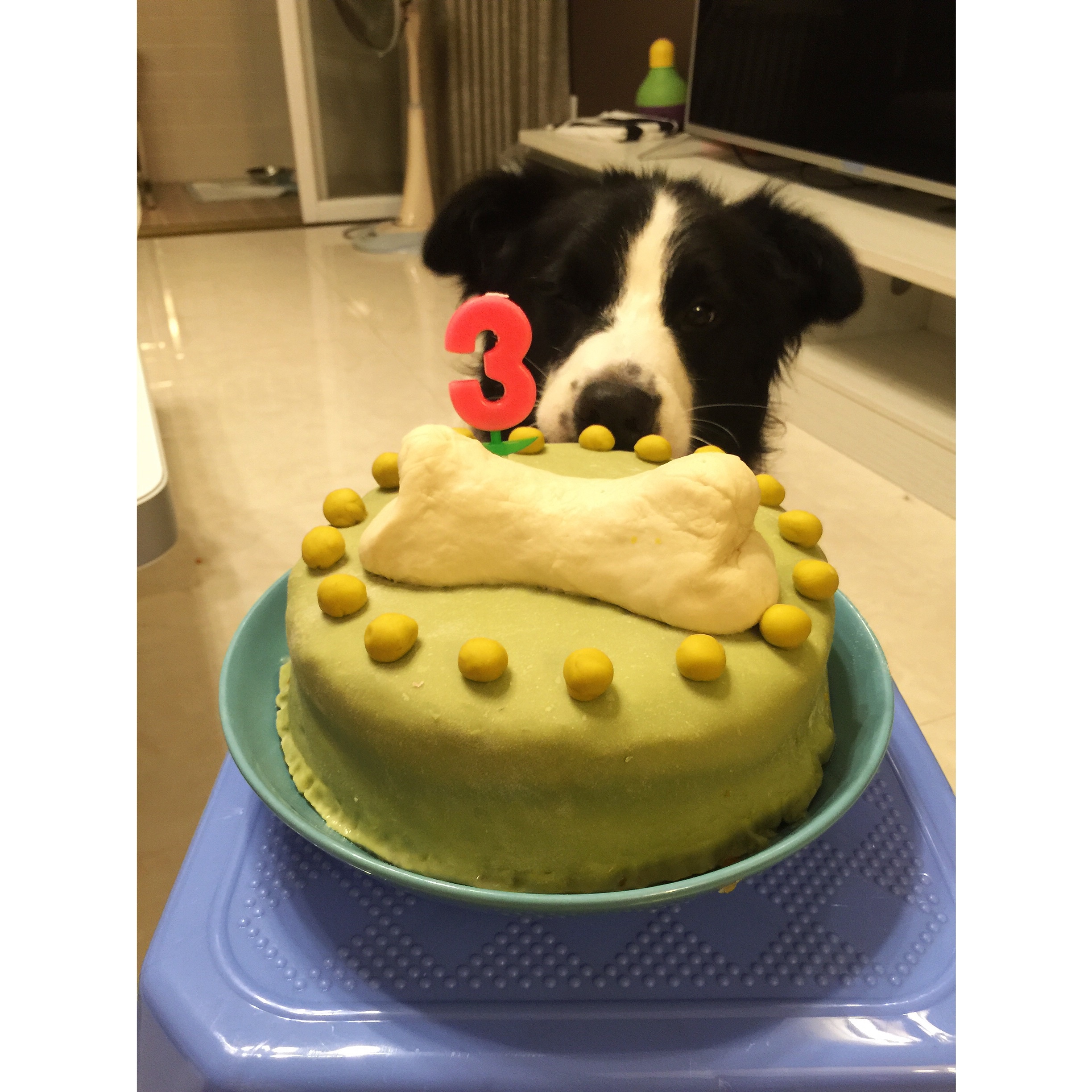 狗狗蛋糕（无面粉）