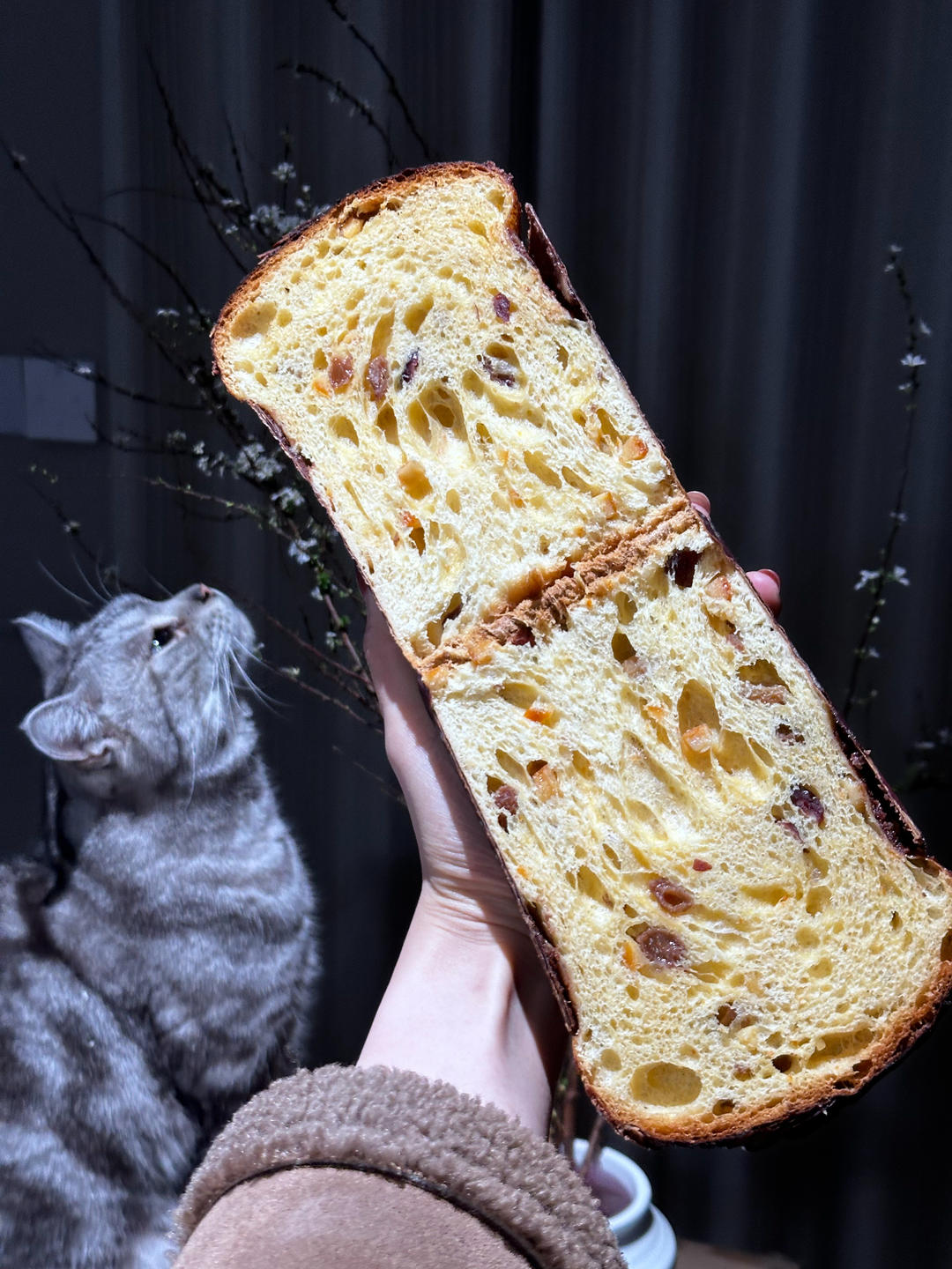 潘娜托尼(天然酵母版) Sourdough Panettone
