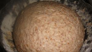 免揉+低温长时间发酵的BBA低脂全麦吐司的做法 步骤11