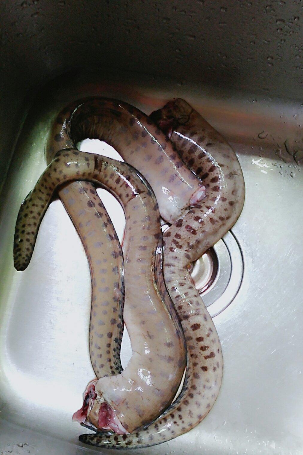 香喷喷的烤地瓜做的早餐612017年5月13日