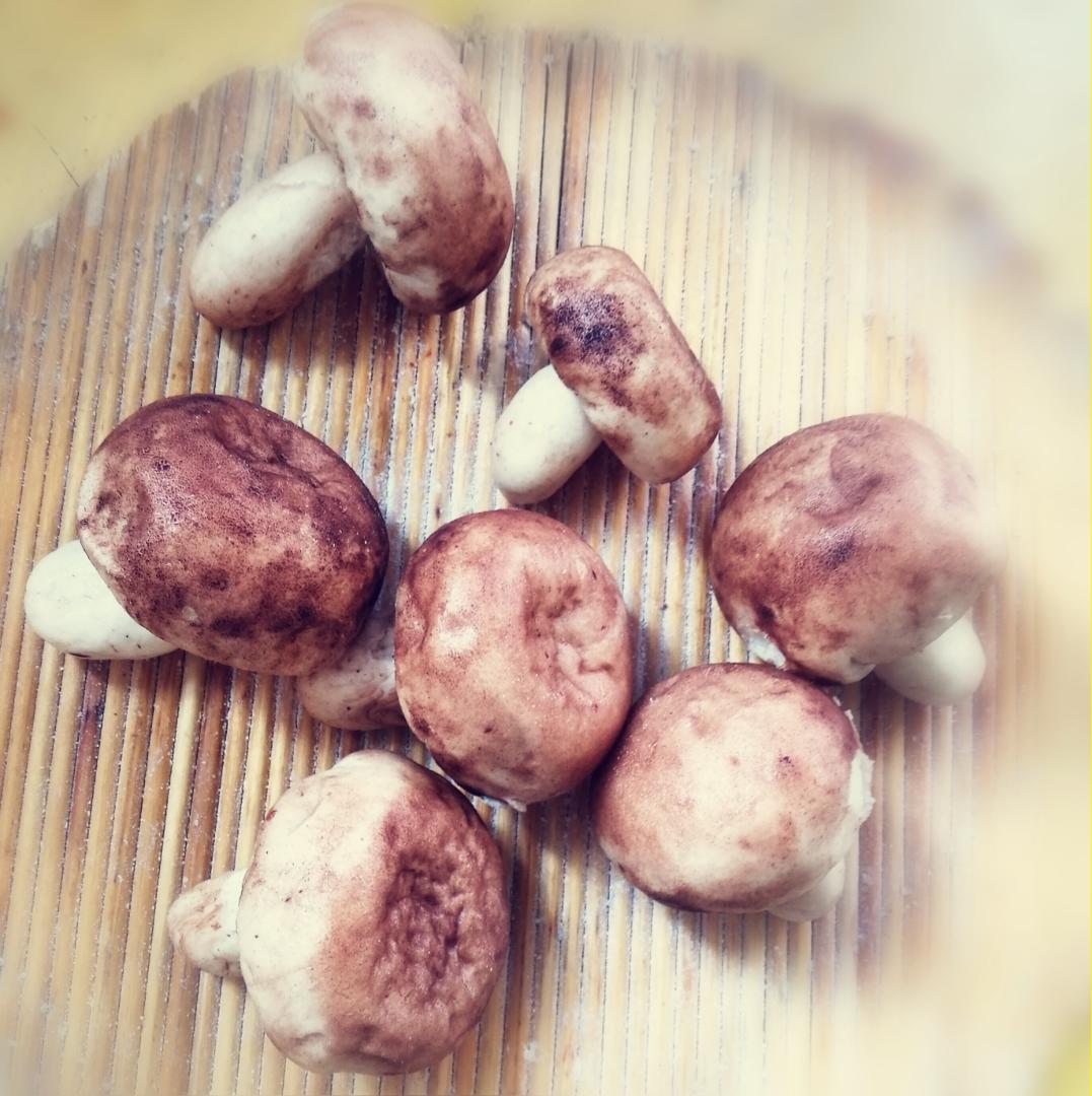 仿真香菇豆沙包