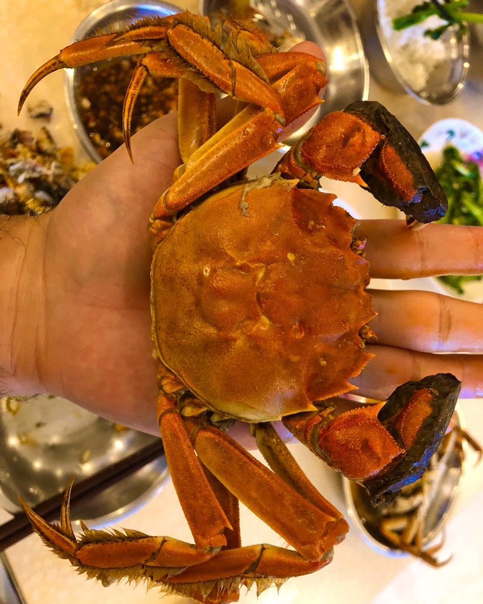 清蒸大闸蟹