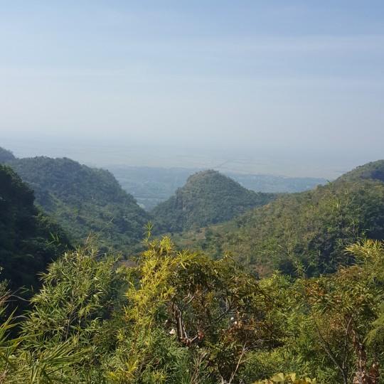 马马友