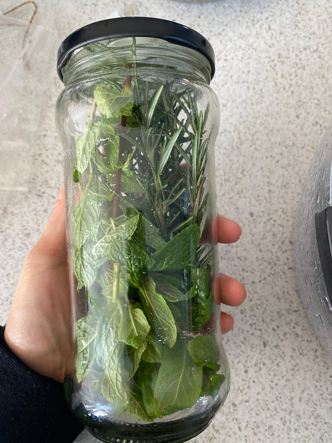 新鲜香料香草的保存
