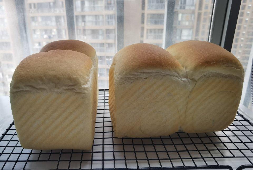 烫种鲜奶吐司