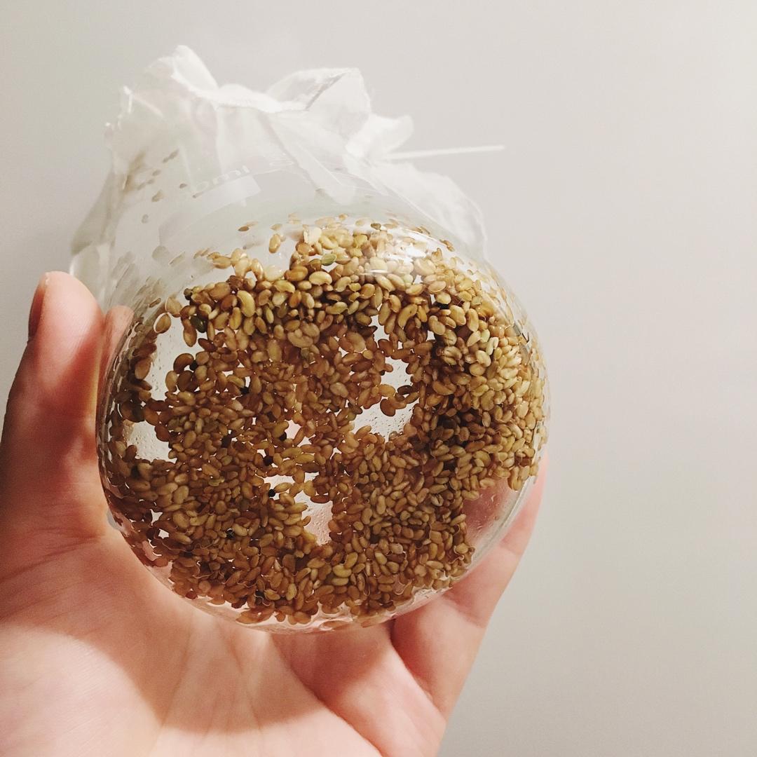 苜蓿芽养成