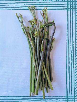 春天不能少的一道美食—糟肉丝春笋炒蕨菜的做法 步骤2