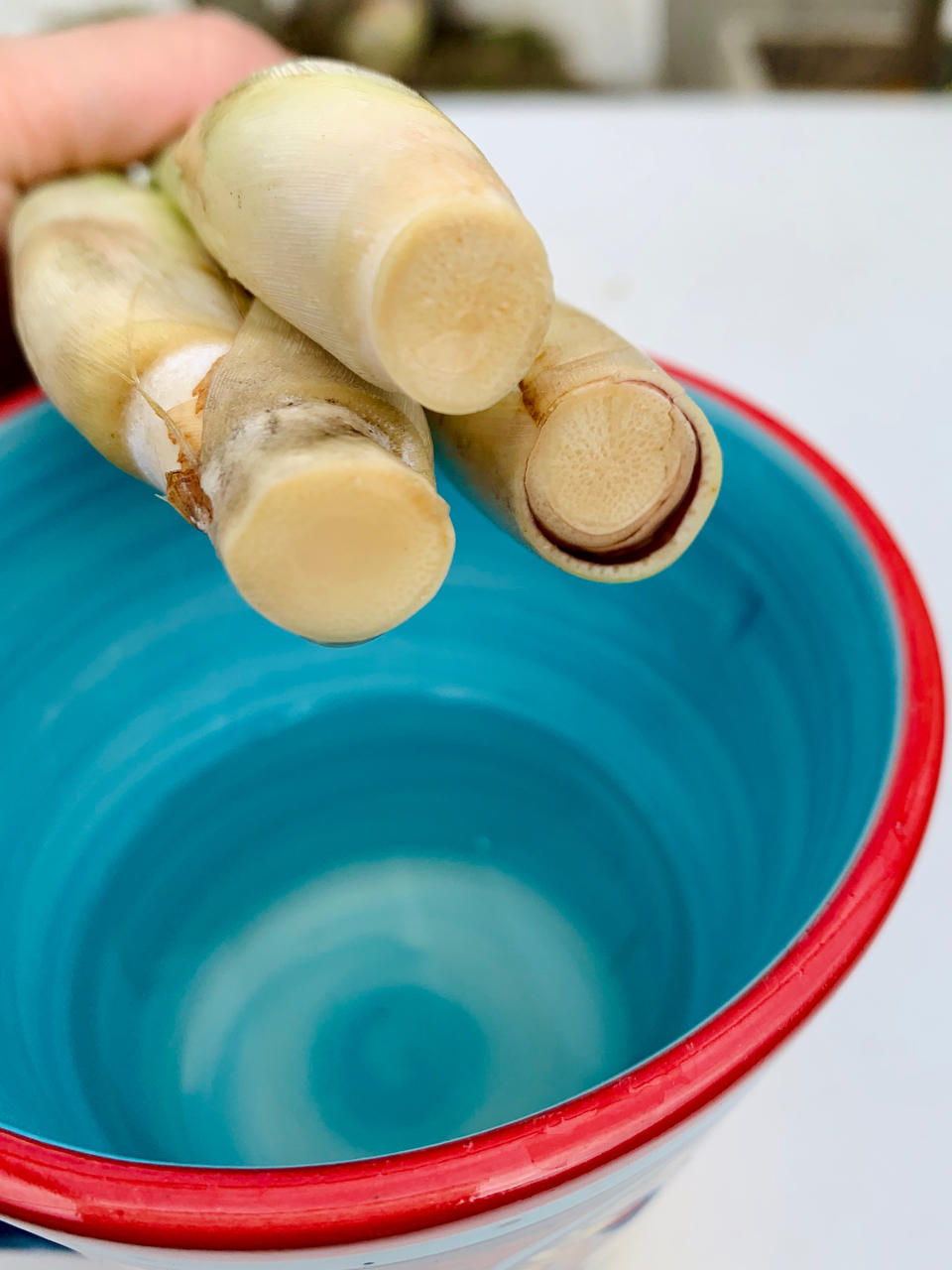 买回一把柠檬草/香茅不浪费，从此彻底实现香茅自由