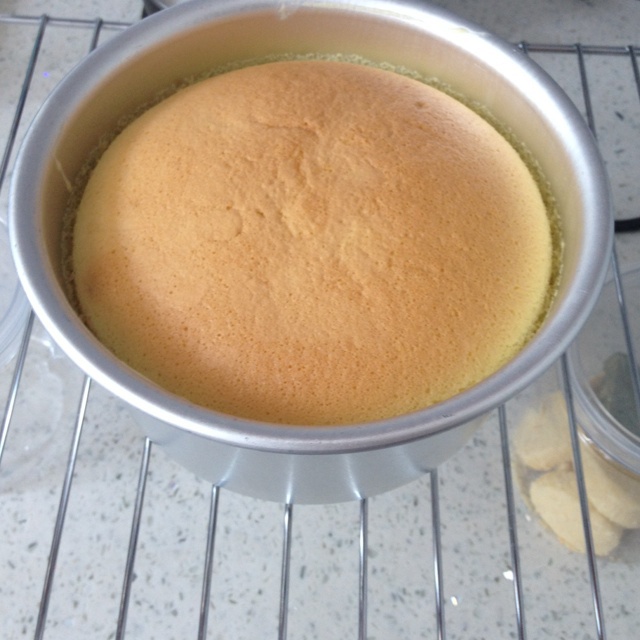 雪纺蛋糕（简易 水浴戚风 蛋糕卷 慕斯蛋糕胚）