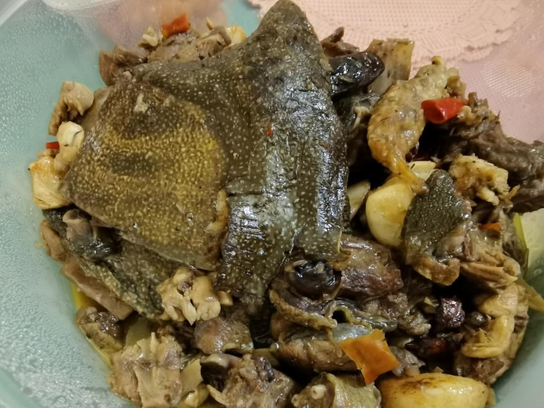 红烧甲鱼