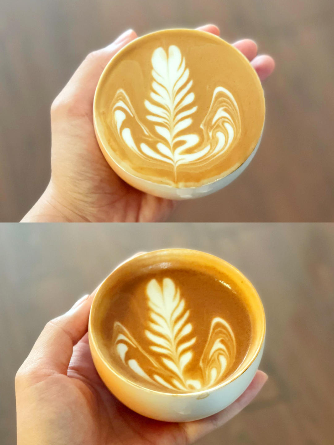 卓宝的自学拉花记录📝