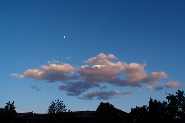 肖肖是小小的月亮