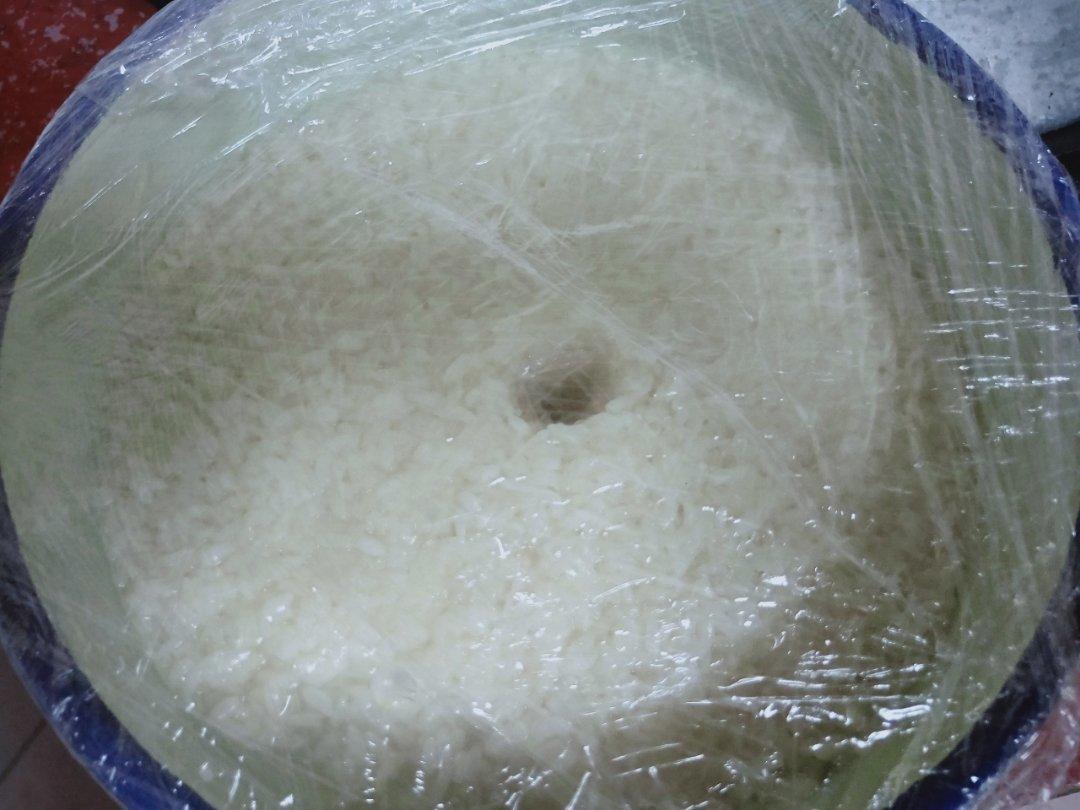 酒酿 (酒酿系列一）