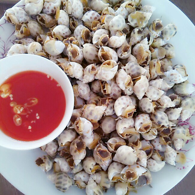 廖廖joyce做的白灼风螺