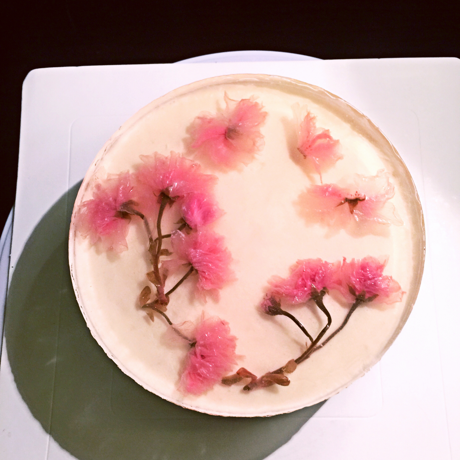 樱花酸奶慕斯蛋糕（免烤）