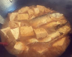 梭鱼炖大豆腐的做法 步骤9