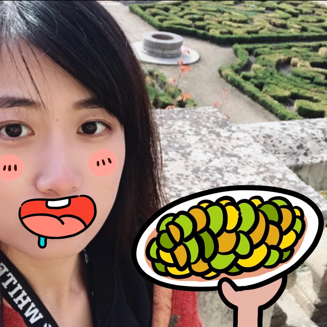 红烧菜豚