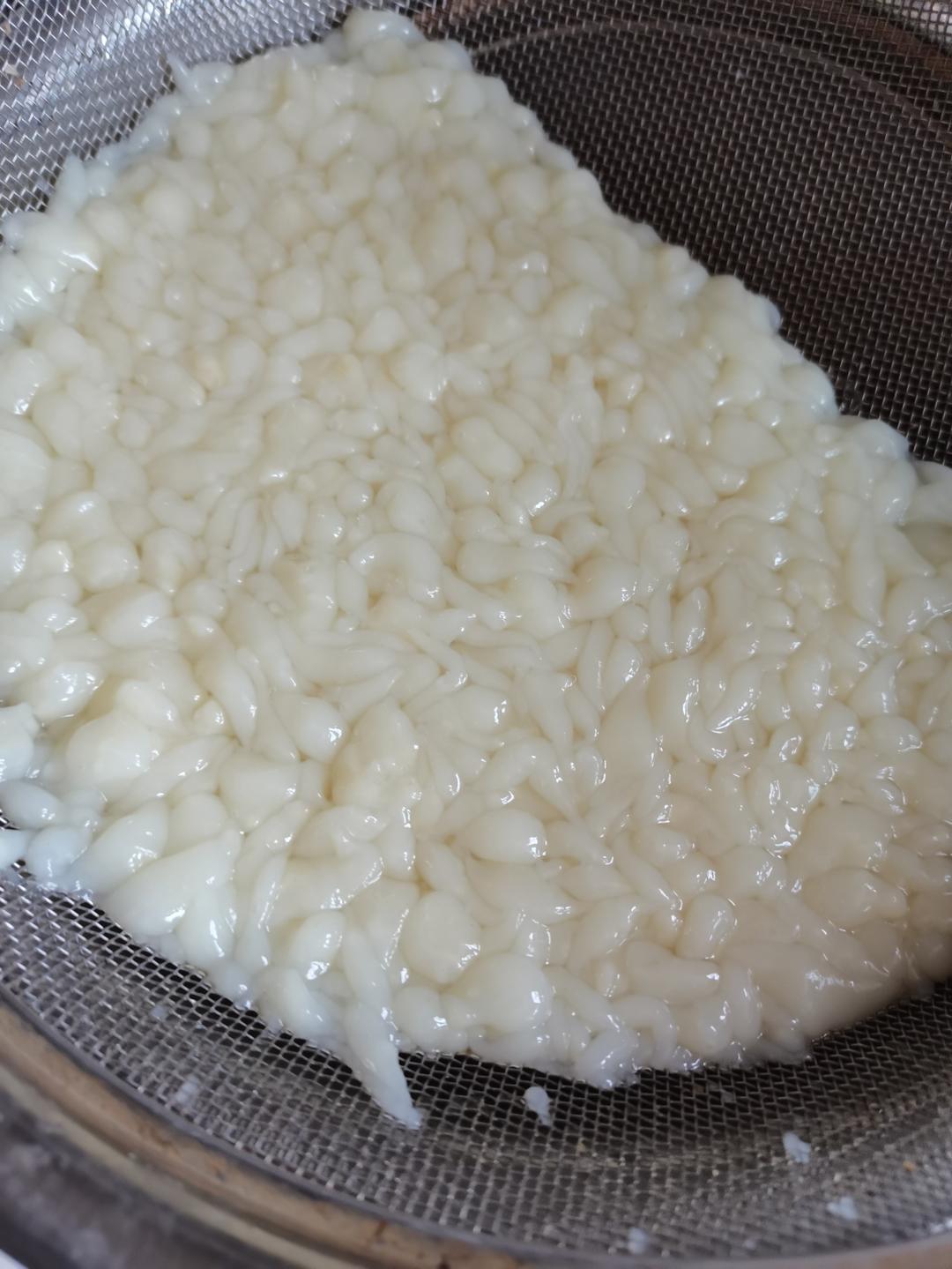 白面鱼鱼
