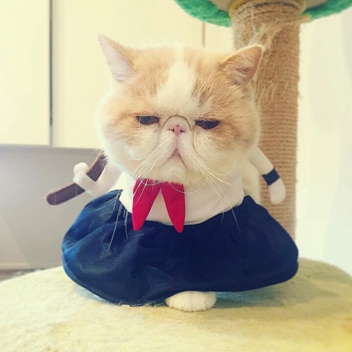 七七四十七