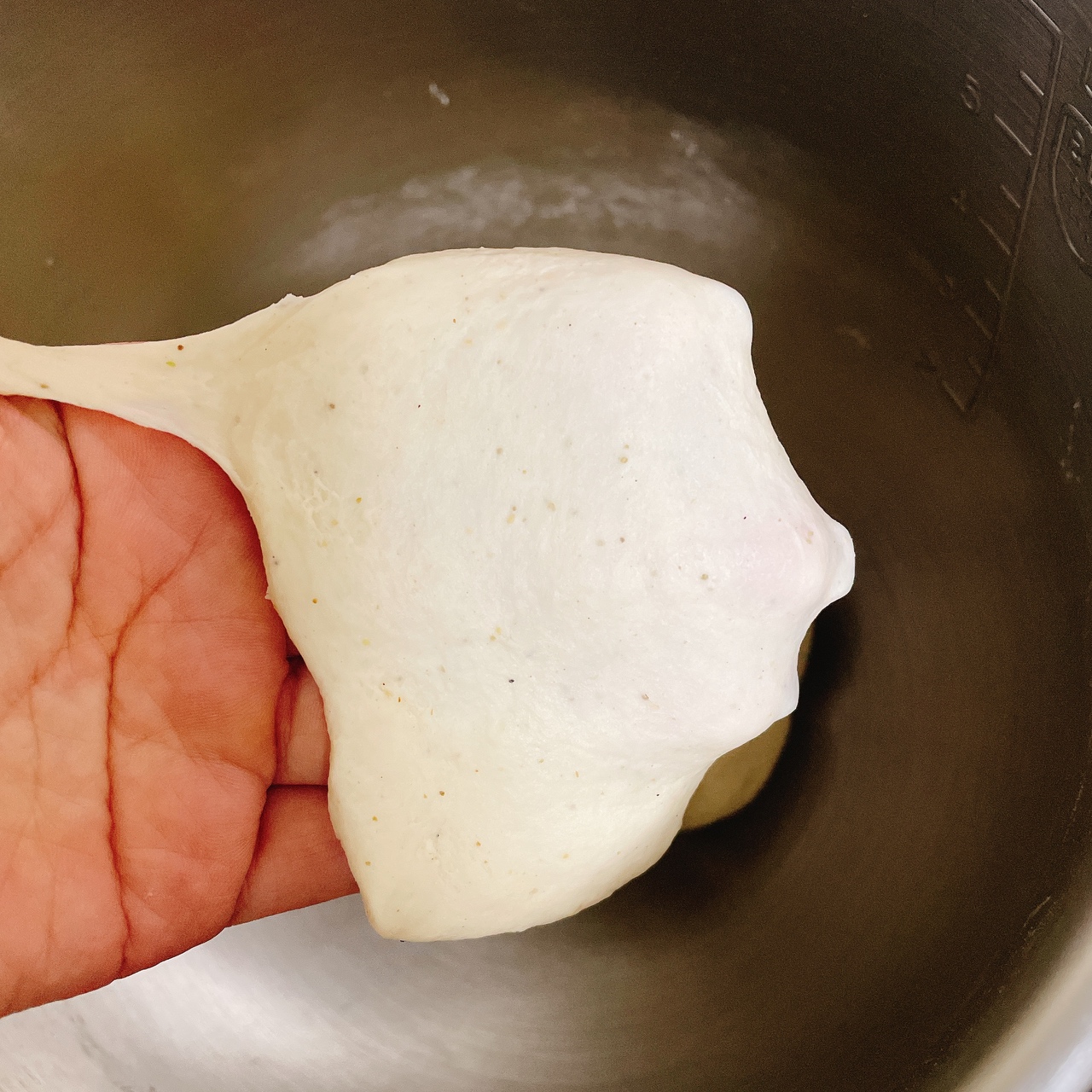 冷藏发酵椒盐香菜贝果的做法 步骤1