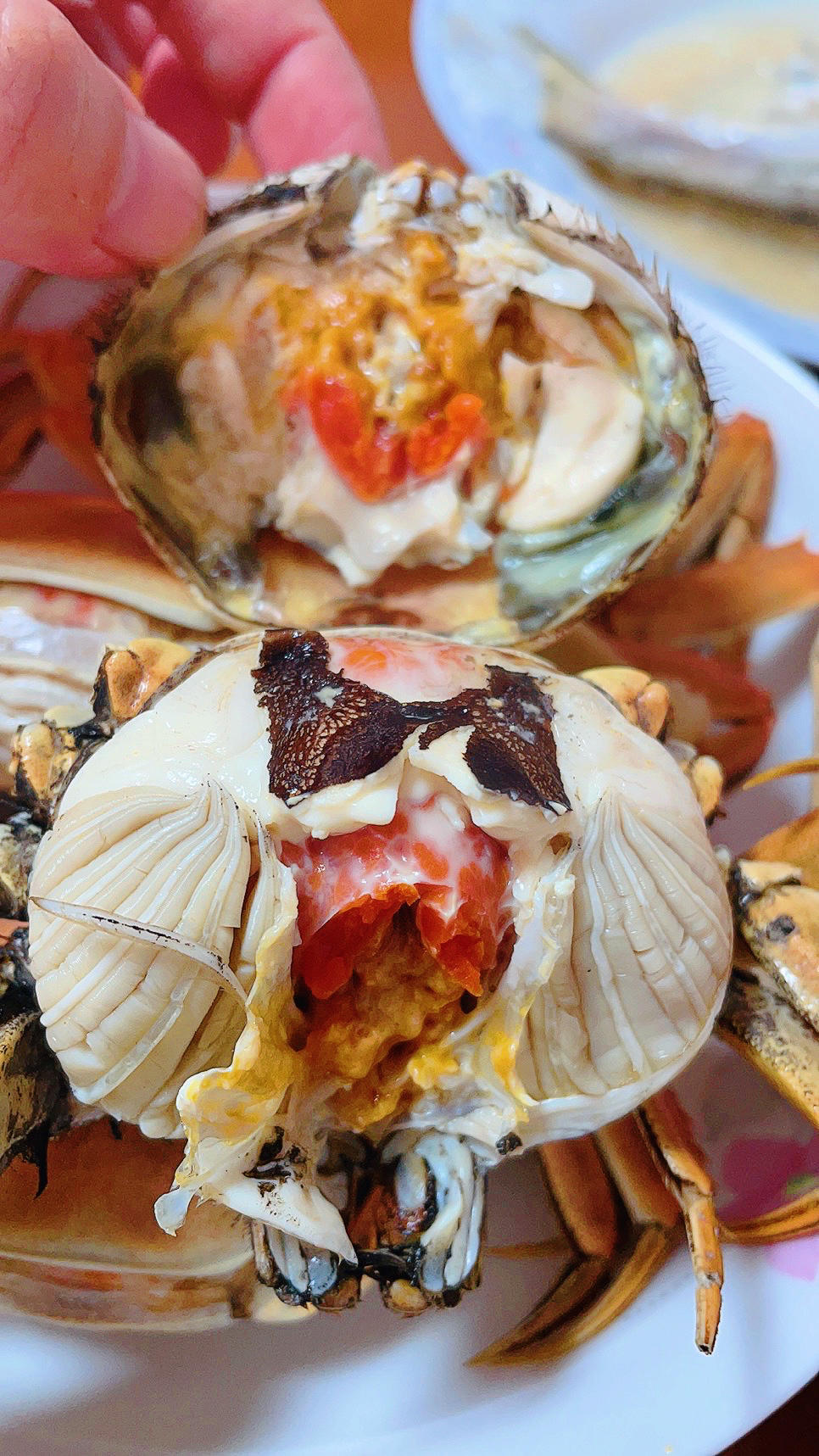 蟹黄豆腐（咸蛋黄版）