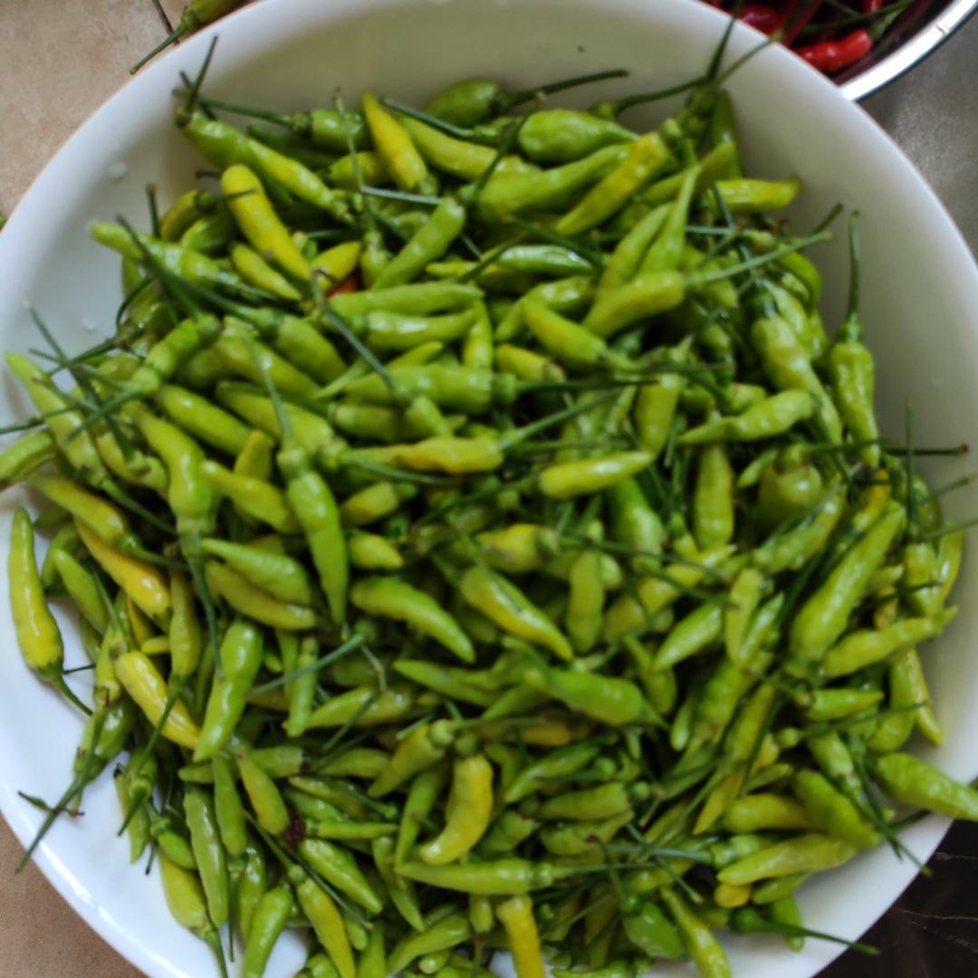 泡小米辣（亚平家配方）