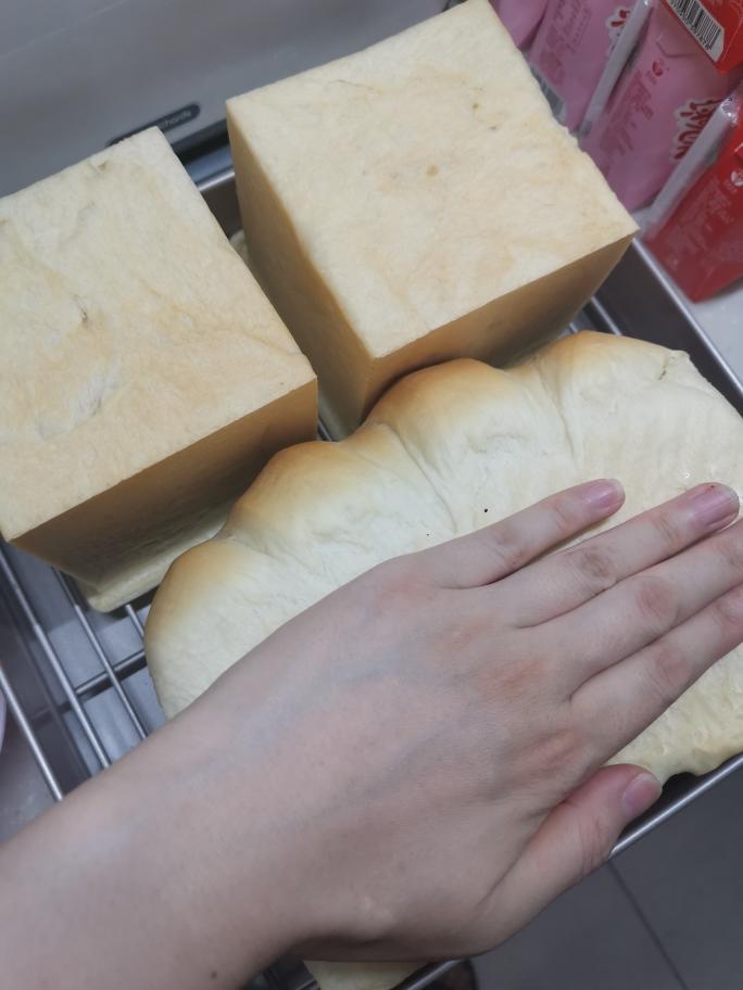纯奶手撕吐司的做法 步骤1