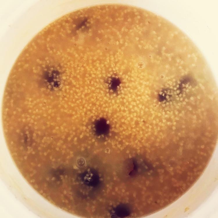 姜片红枣小米粥