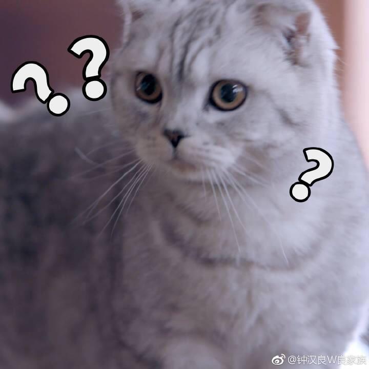 李瘦子的