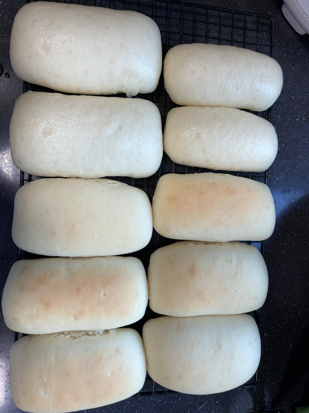 可量产!全麦帕尼尼🥪面包胚