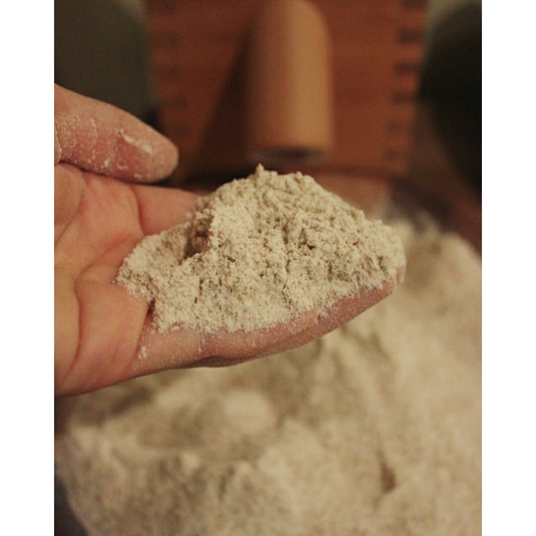 自制发芽谷物面粉Sprouted wheat flour