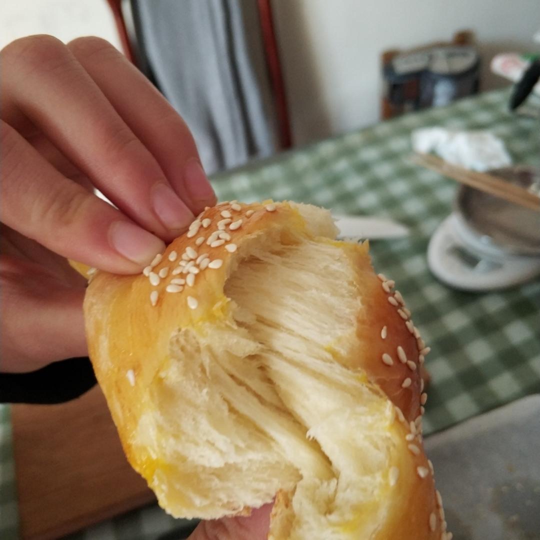母巨蟹丷