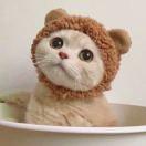 铁柱十一点半准时睡觉