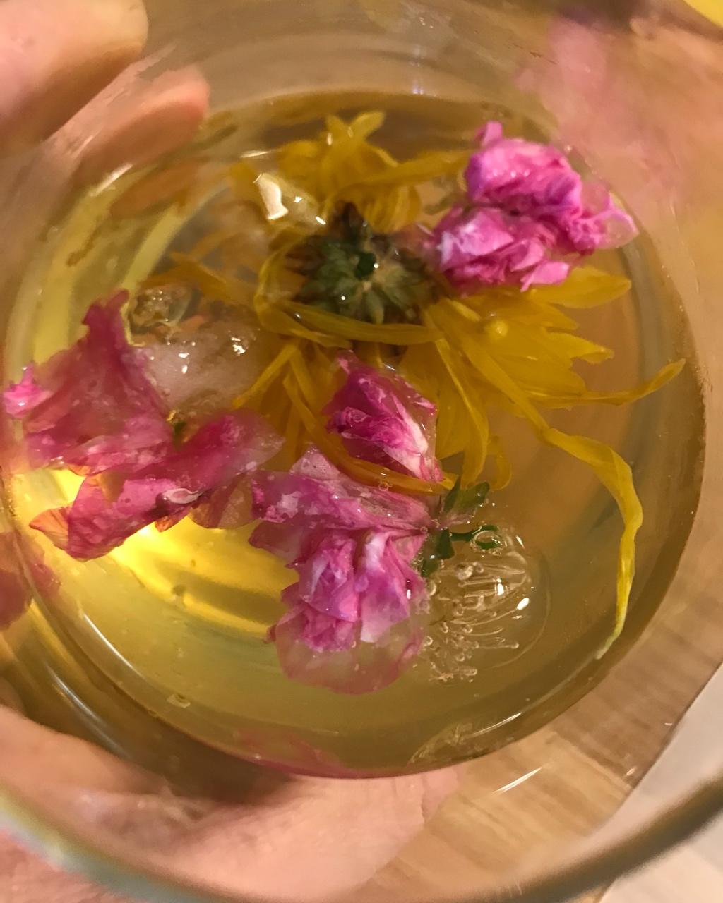 启秋金丝皇菊