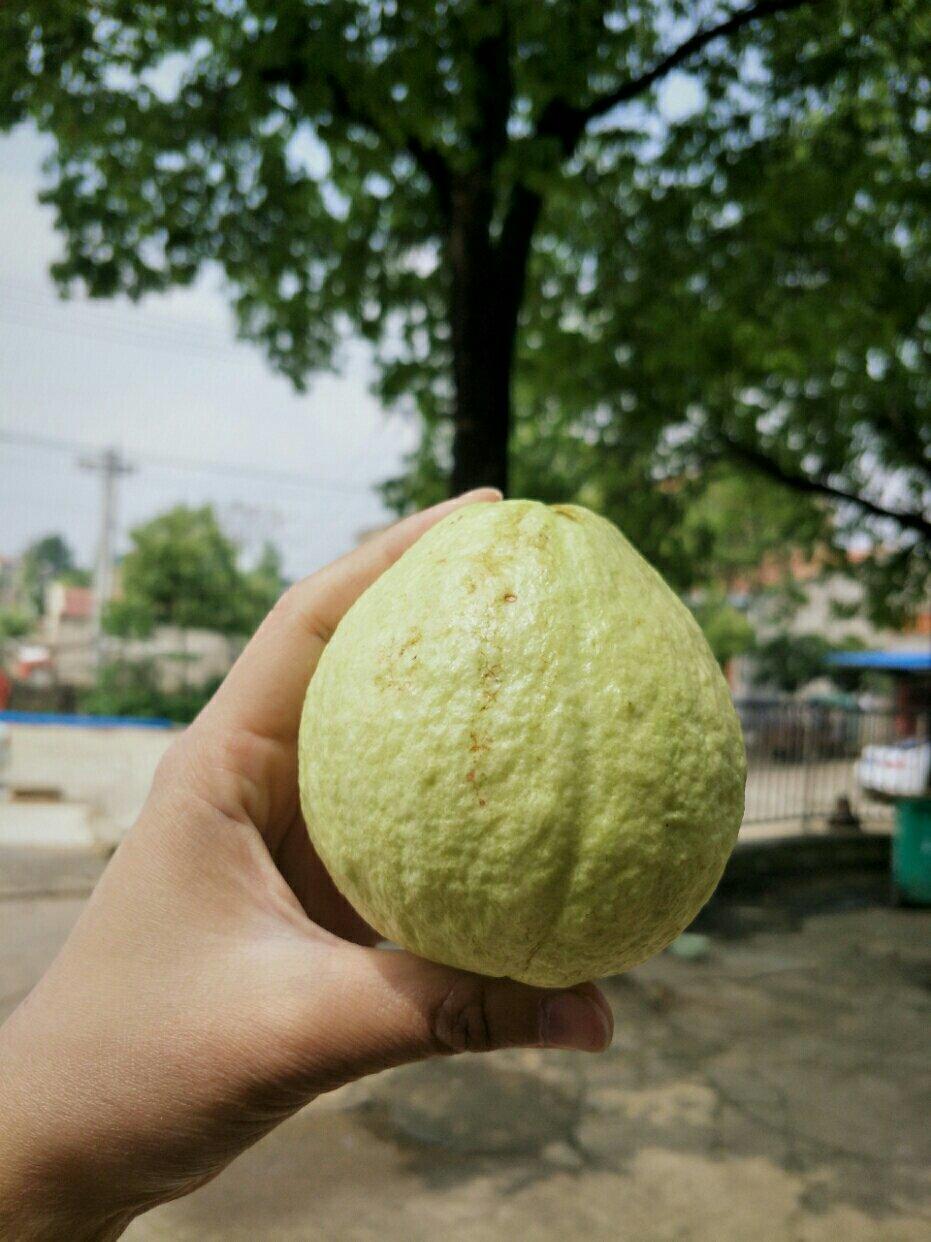 三餐四季