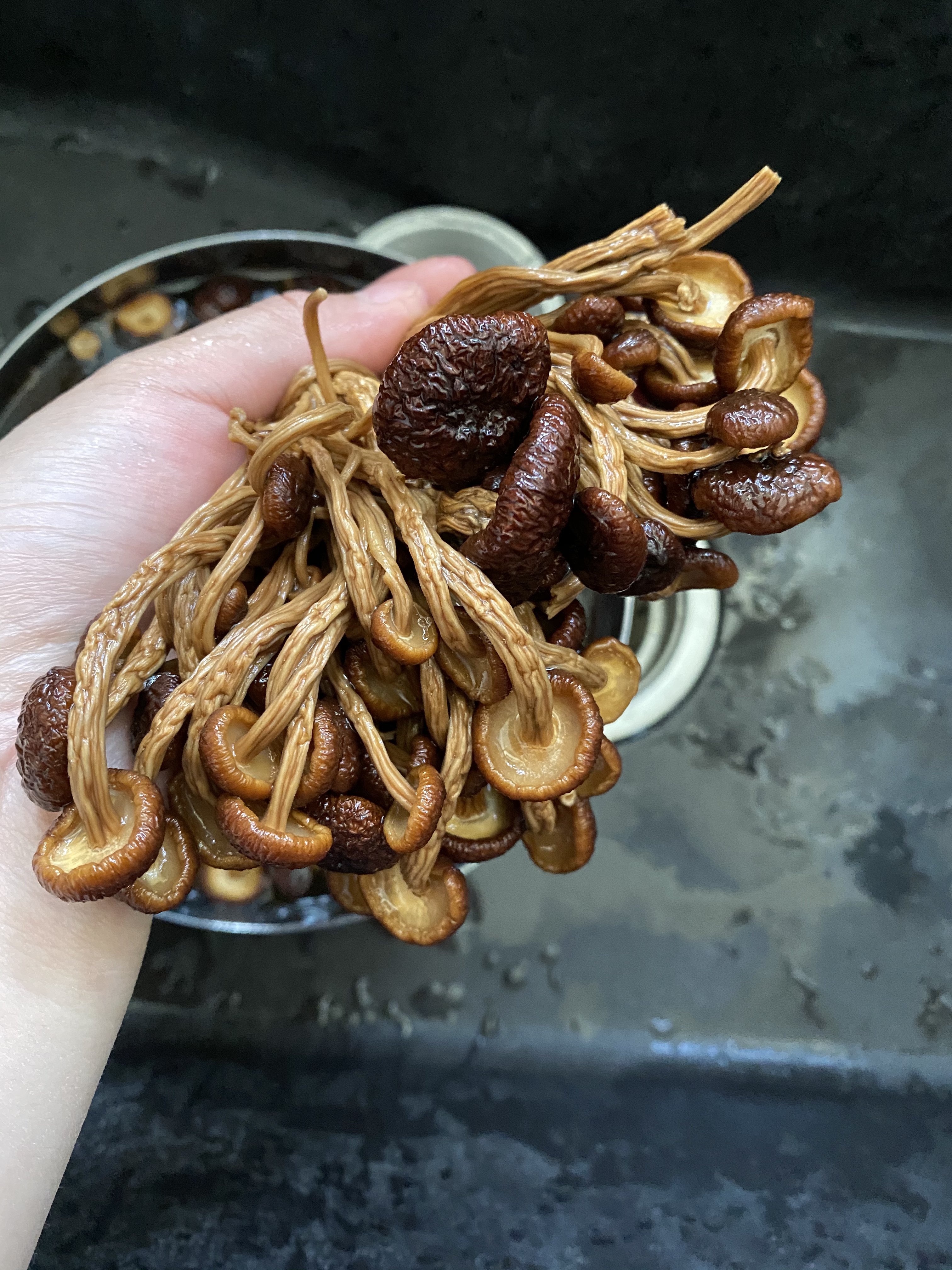 又香又下饭的干锅茶树菇（火锅底料版）的做法 步骤1