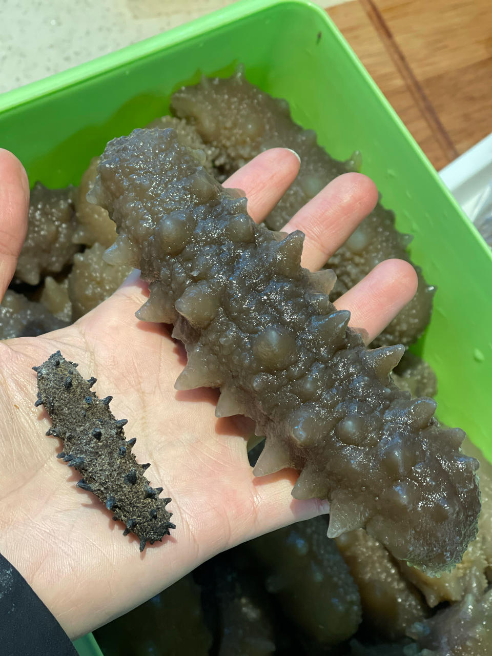 泡发海参