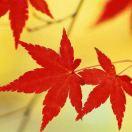 深邃的天空_7kg6