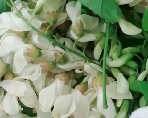 把春天装进碗里，蒸槐花